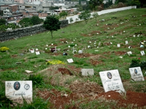 Os pesquisadores concordam que a cremação seria a 